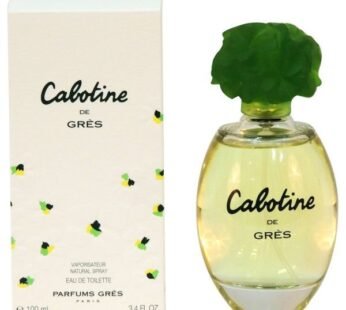 Cabotine De Gres X 100 Ml.