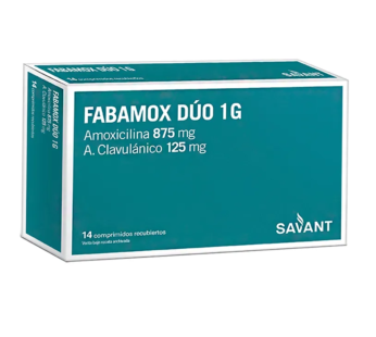 Fabamox Duo 1g Caja X 14 Comp.
