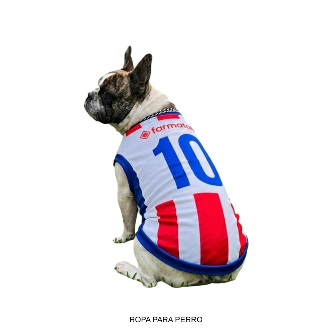 Remera P/ Perro T.8 (Premioxpunto)