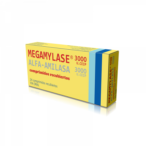 Megamylase 3000 U. Ceip Caja X 24 Comp.